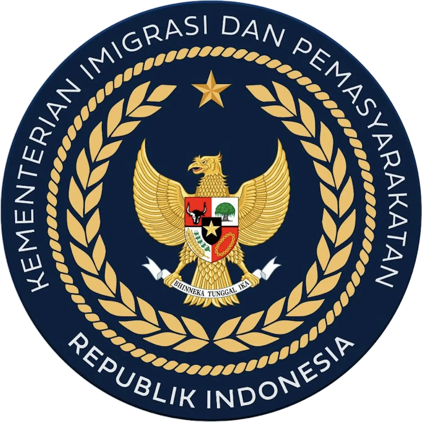 Logo IMIPAS